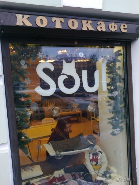 Из Москвы в Выборг через Питер на пару дней в декабре