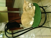 Из Москвы в Выборг через Питер на пару дней в декабре