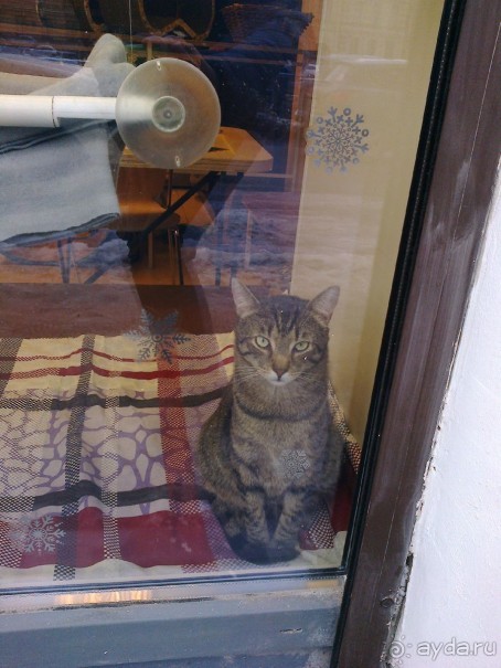 Из Москвы в Выборг через Питер на пару дней в декабре