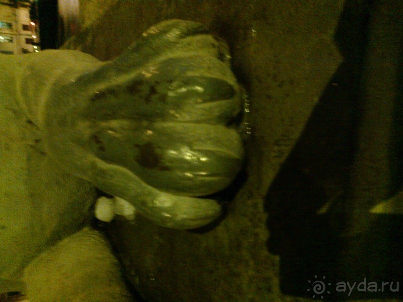 Из Москвы в Выборг через Питер на пару дней в декабре