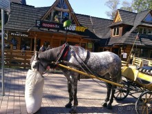 на Губалувку фуникулером