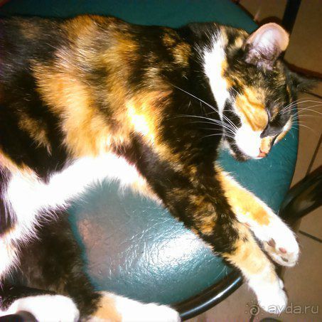 Классное место, правда народу много.