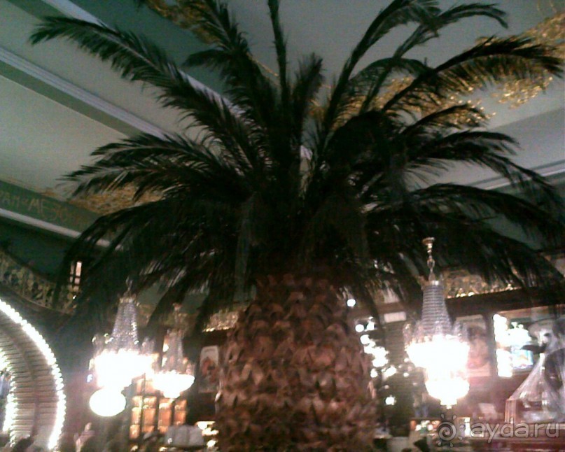 Очень красиво и очень дорого