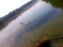 На пляж в Малаховку