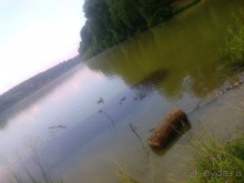 На пляж в Малаховку