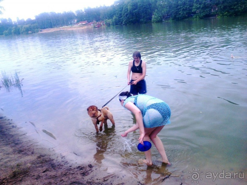 На пляж в Малаховку