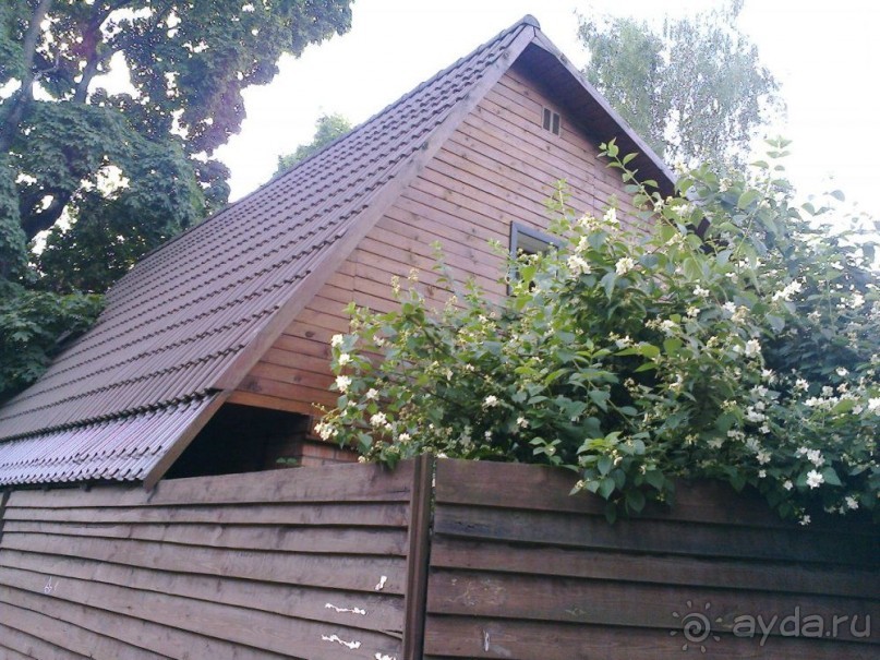 На пляж в Малаховку