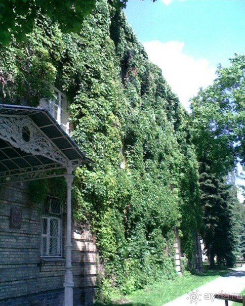 Музей под открытым небом