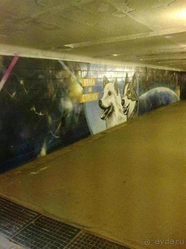 На Сенежском озере в выходные