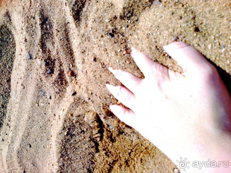 На Сенежском озере в выходные