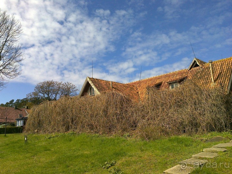 Нида в апреле