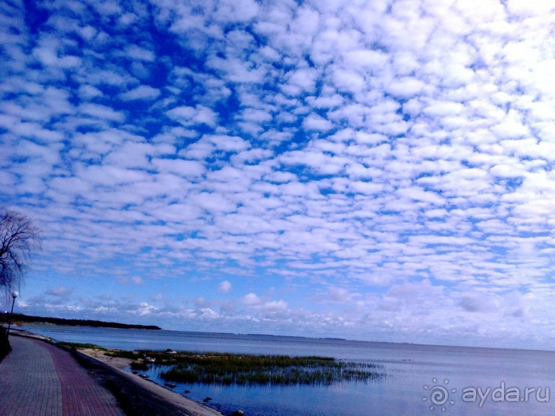 Нида в апреле