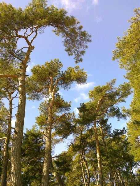 Нида в апреле