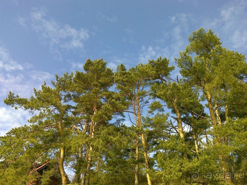 Нида в апреле