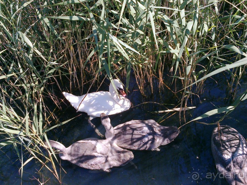 Новый прибалтийский курорт Янтарный