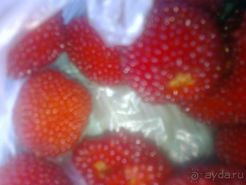 Новый прибалтийский курорт Янтарный