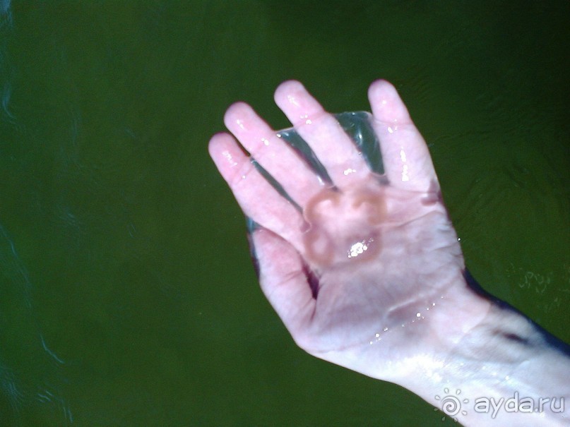 Новый прибалтийский курорт Янтарный