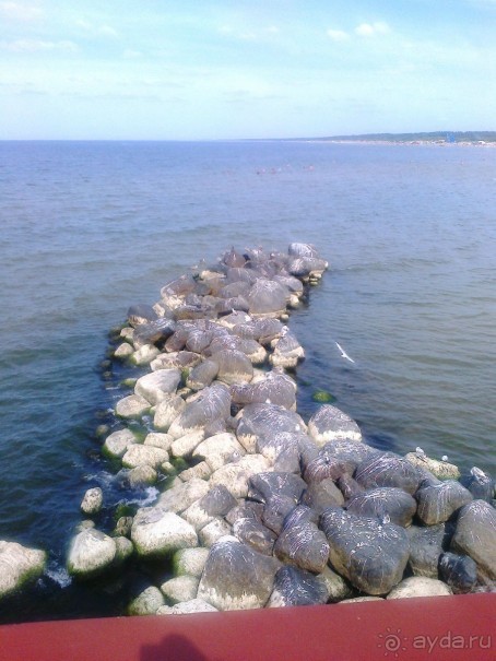 Отдых в Паланге 2015