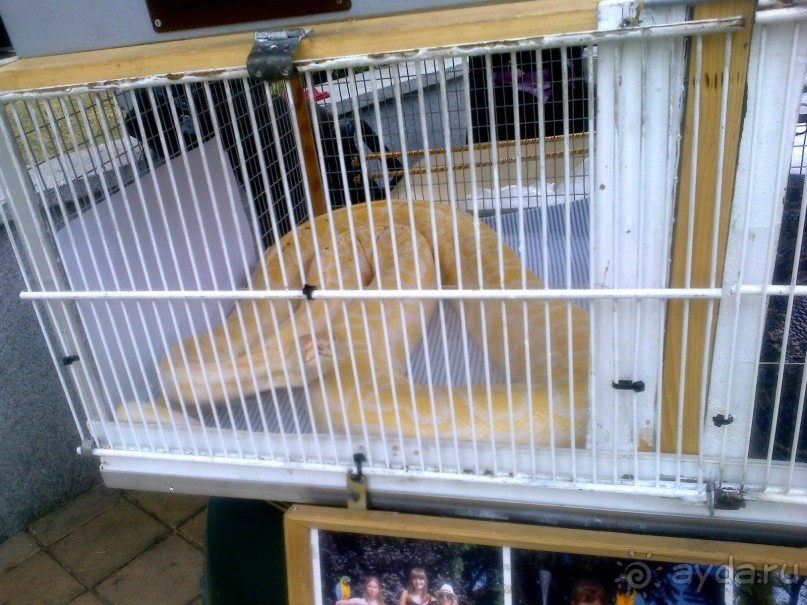 Отдых в Паланге 2015