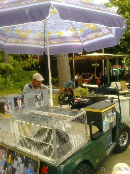 Отдых в Паланге 2015