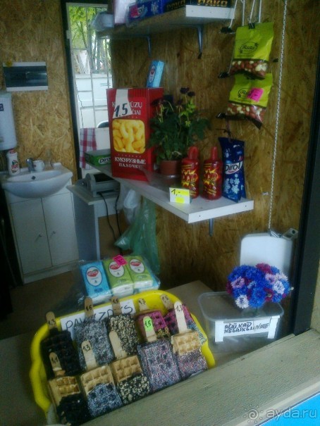 Отдых в Паланге 2015