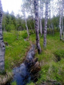 Альбом отзыва "Мой летний отдых в Хибинах."