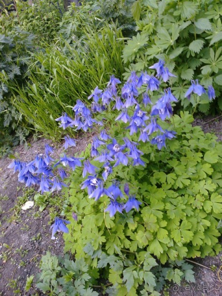 Альбом отзыва "Мой летний отдых в Хибинах."