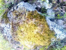 Альбом отзыва "Мой летний отдых в Хибинах."