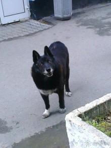 Альбом отзыва "Мой летний отдых в Хибинах."