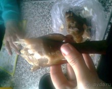 Мой летний отдых в Хибинах.