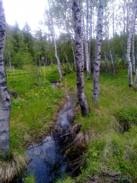 Мой летний отдых в Хибинах.