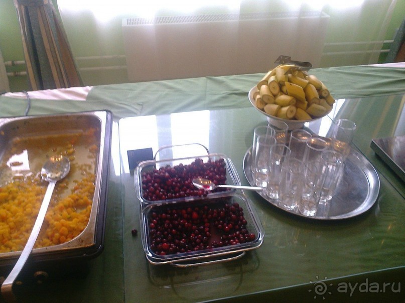 Мой летний отдых в Хибинах.