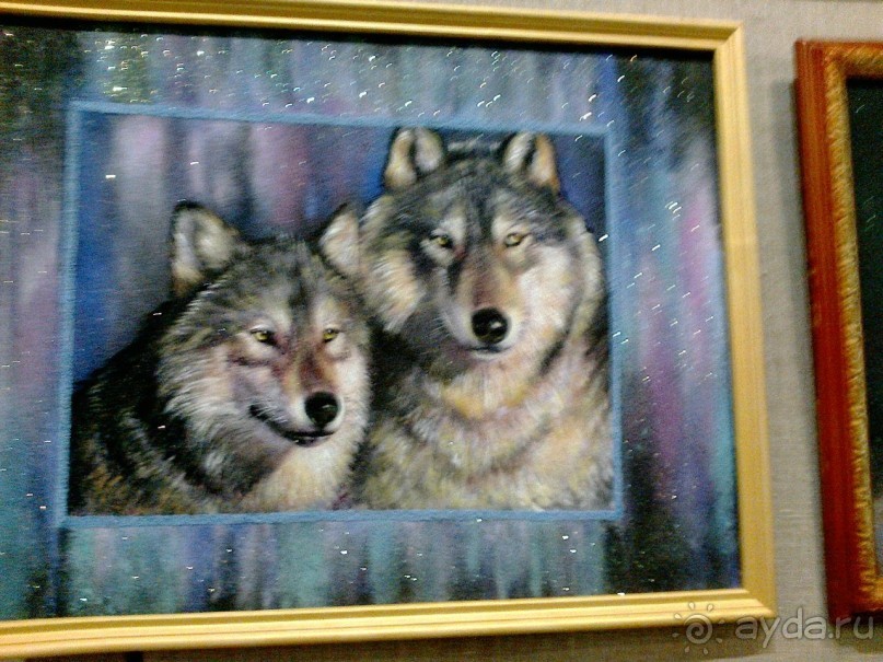 Мой летний отдых в Хибинах.