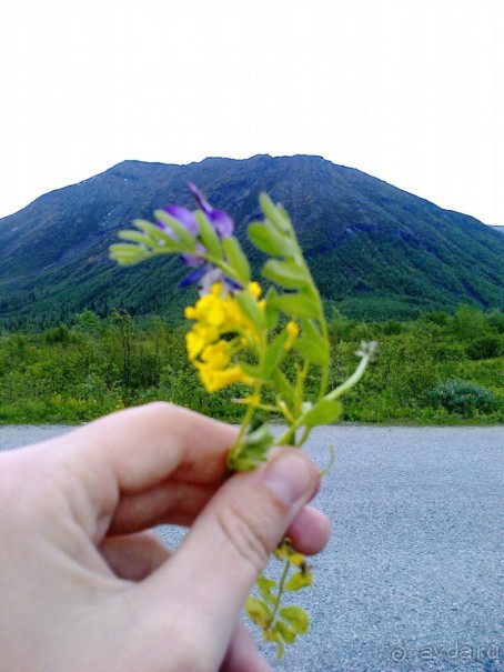Мой летний отдых в Хибинах.