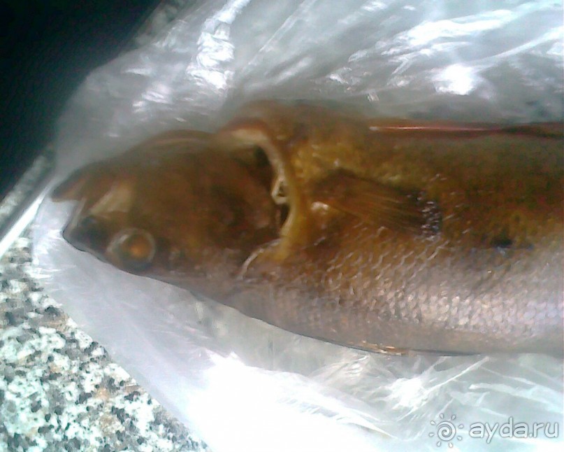 Мой летний отдых в Хибинах.