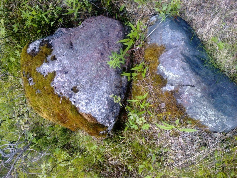 Мой летний отдых в Хибинах.