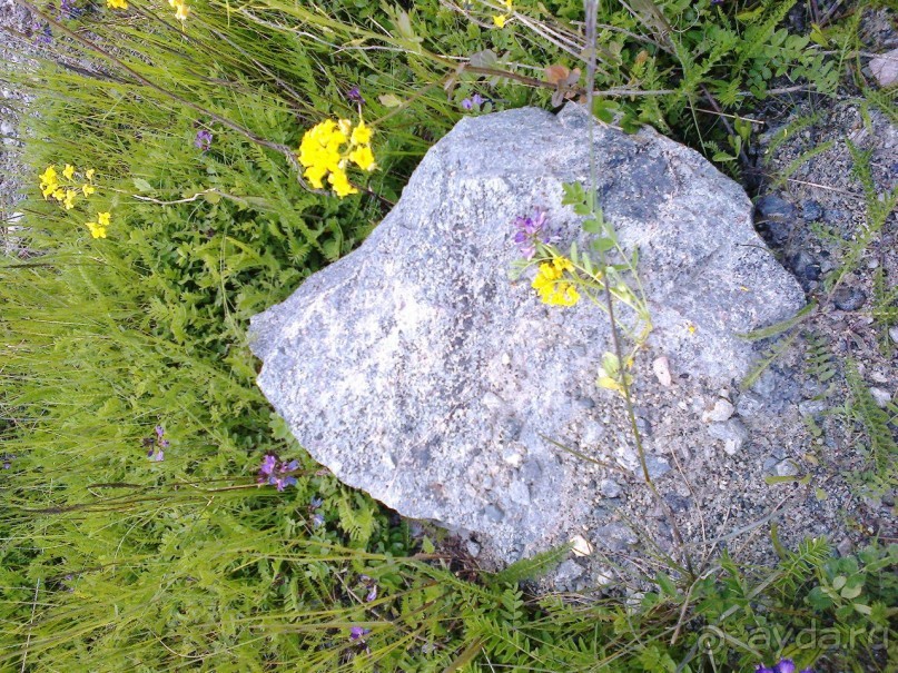 Мой летний отдых в Хибинах.