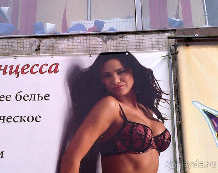 Мой летний отдых в Хибинах.