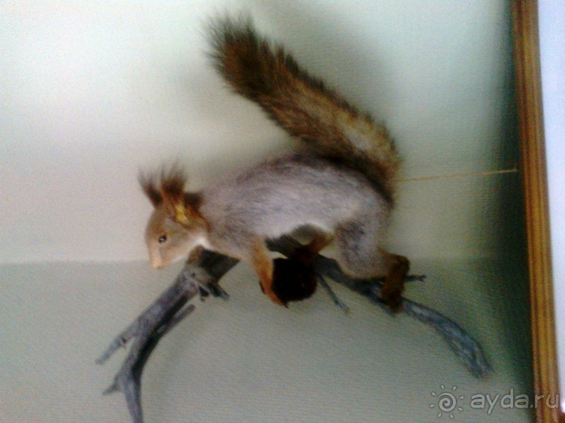 Мой летний отдых в Хибинах.