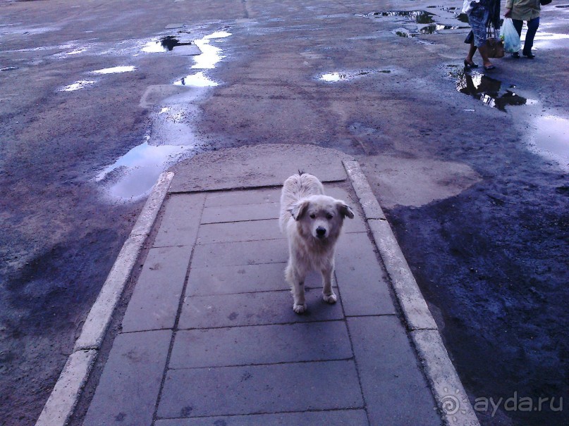 Интересный замок