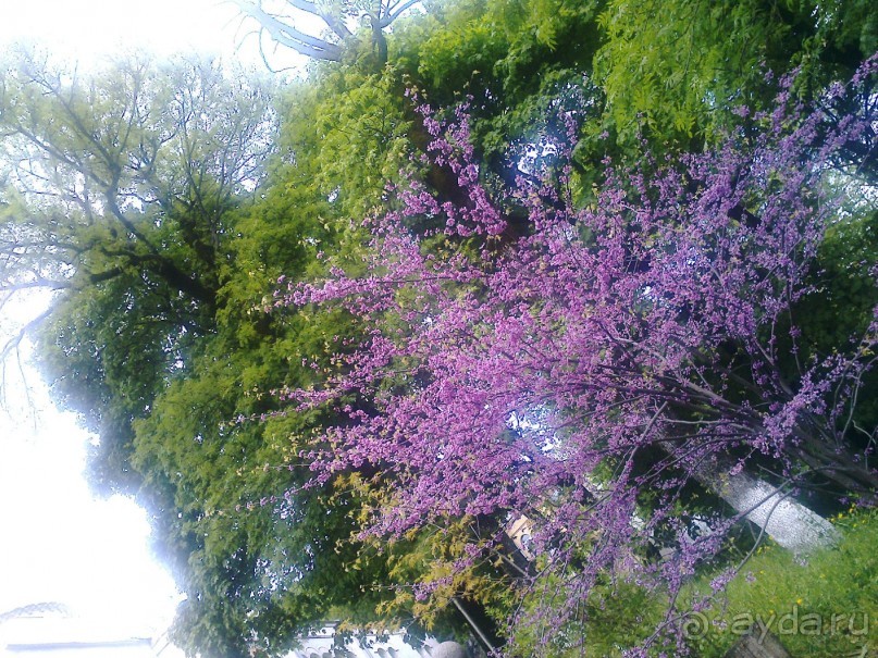 Майские праздники на Кавказе:Пятигорск-Кисловодск-Железноводск