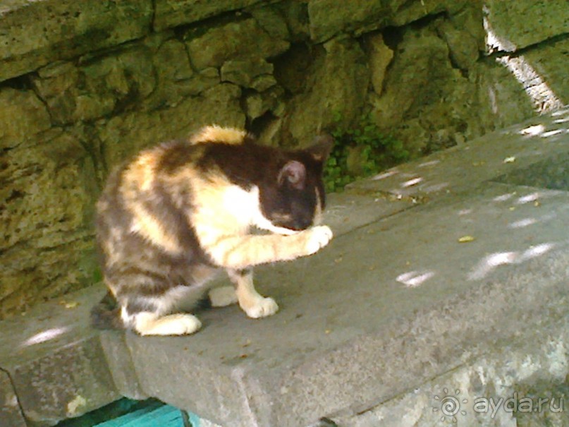 Майские праздники на Кавказе:Пятигорск-Кисловодск-Железноводск