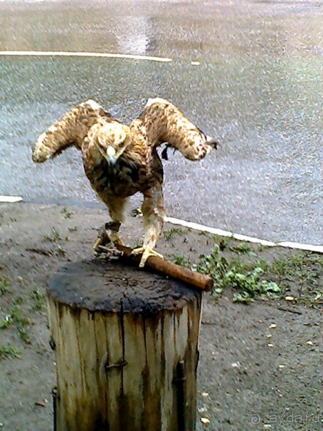 Майские праздники на Кавказе:Пятигорск-Кисловодск-Железноводск