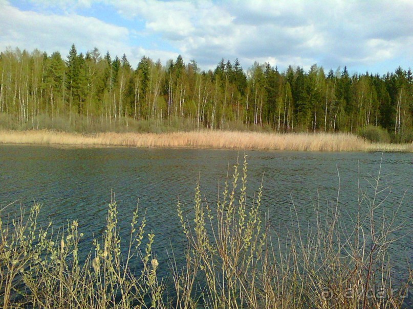 фото Дубна