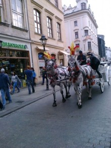 Веселая Атмосфера