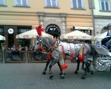 Веселая Атмосфера