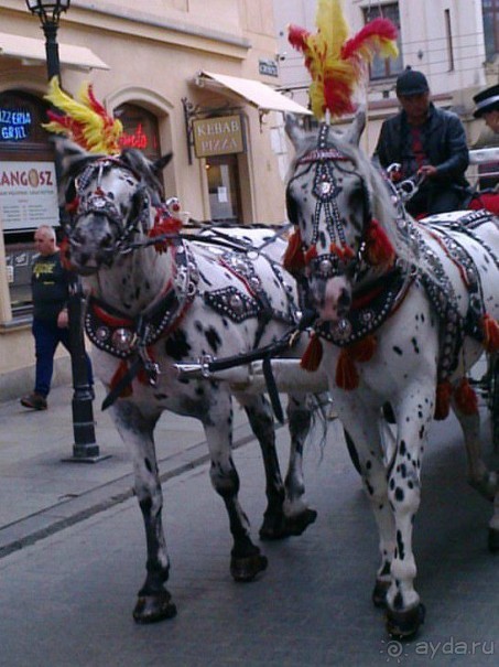 Веселая Атмосфера