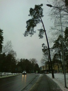 Приятный городок Друскининкай