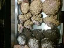 Приятный городок Друскининкай