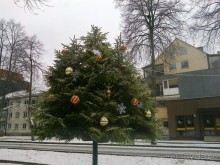 Приятный городок Друскининкай